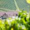 Weingut-Gästezimmer UHL - راتش آن دير فينشتراسه
