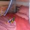 Bầu Bí Mini Farmstay Mekong - Tiền Giang