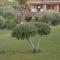 Stefanos Resort