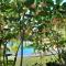 FIGTREE GUESTHOUSE