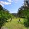 Maple Cottage - Kangaroo Valley