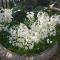 Dove's Nest Guest House - Kempton Park