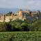 Diamond - Gîte dans vieux prieuré près de Carcassonne - Sainte-Eulalie