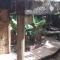Oneta Resort - Ono Island