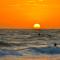 Anna Maria Island Beach Palms 7A