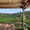 Casa nel vigneto con vista mare
