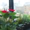 Gamalan FL Spring Hotel
