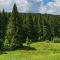 Pine Woods Apartment B35 in Silver Mountain
