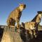 Neuras Wine and Wildlife Estate