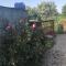 The Garden
