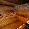ALFA Hotel & Wellness Miskolctapolca