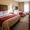 Comfort Inn & Suites - Morganton