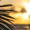 Flat Pipas Bay