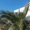 Nostos Beachfront Apartments & Studios - Agios Ioannis