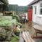Cosy Bee