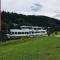 Natur und Neckarblick bei Heidelberg - Hirschhorn