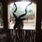 Kiburi Lodge @ Kruger, a secluded Bushveld getaway
