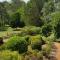 The Paddocks