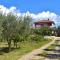 Apartment with nice terrace 684