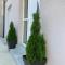 Apartman Spring