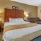 Comfort Inn West Hazleton