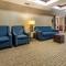 Comfort Suites Newark - Harrison - Newark