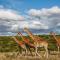 Pumba Private Game Reserve - Грейамстаун