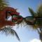 Riviera Punta Cana Eco Travelers