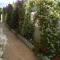 Bed and Breakfast Angolo Fiorito - تشيفيتافيكيا