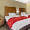 Comfort Inn Waynesboro