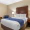 Comfort Inn Near Greenfield Village - Dearborn