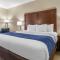 Comfort Inn Near Greenfield Village