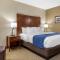 Comfort Inn Near Greenfield Village - Dearborn