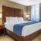 Comfort Inn Near Greenfield Village
