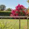 Villa Viviana Fažana Valbandon Heated pool