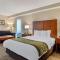 Comfort Inn Douglasville - Atlanta West