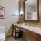 Comfort Inn & Suites Near Mt Rushmore