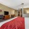 Comfort Inn & Suites Near Mt Rushmore