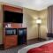 Comfort Suites Delavan - Lake Geneva Area - Делаван