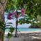 Blue Bay Bungalow