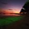 Mistica Island Hostel - Isla Palma - 帕尔马岛