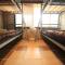 Taketomijima Guesthouse and je Taime - Taketomi