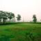 Dew Drops Boutique Retreat