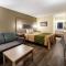 Econo Lodge Vicksburg