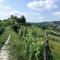 Bed and Breakfast La Volpe tra le Vigne - Castelnuovo Don Bosco