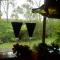 Foto: Bellbird Cottage B&B 5/66