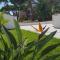 Scauri resort