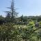 LOliveraie