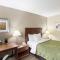 Quality Inn Athens