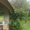 Holiday Home in Dörgicse Vineyard